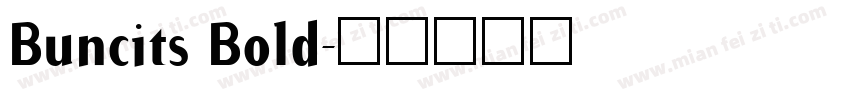 Buncits Bold字体转换